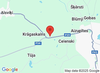  "Kārlīši", Alsviķu pagasts, Alūksnes nov., LV-4333,  Auto stūris, SIA