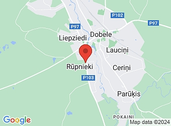  "Riņķīši", Auru pagasts, Dobeles nov., LV-3701,  Bāliņi, ZS