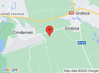  "Bāliņi", Grobiņas pagasts, Dienvidkurzemes nov., LV-3430,  Bāliņi, ZS