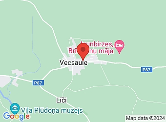  "Pagastmāja", Vecsaule, Vecsaules pagasts, Bauskas nov. LV-3932,  Bauskas novada pašvaldība, Vecsaules pagasta pakalpojumu centrs