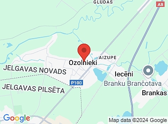 Skolas 6A, Ozolnieki, Ozolnieku pagasts, Jelgavas nov., LV-3018,  Beltiņas ģimenes ārsta prakse, SIA
