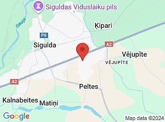  Pīlādžu 17, Sigulda, Siguldas nov., LV-2150,  BELVIX, SIA