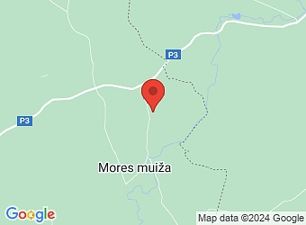  "Birzītes", Mores pagasts, Siguldas nov., LV-2170,  Birzītes, ZS