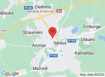  Blaumaņa 25, Saldus, Saldus nov., LV-3801,  BROCIS, SIA