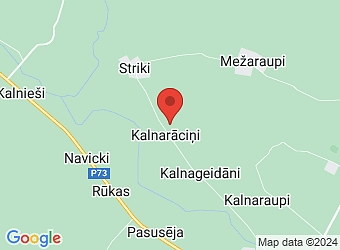  "Buiķi", Aknīstes pagasts, Jēkabpils nov., LV-5208,  Buiķi, ZS
