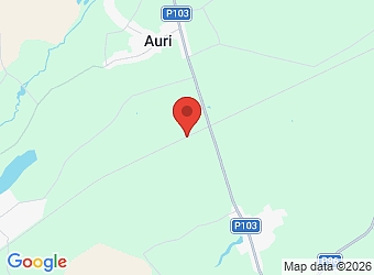  "Auru stacija", Auru pagasts, Dobeles nov., LV-3710,  CARPENTERS, SIA