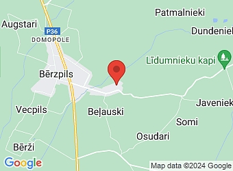  "Ceriņi", Bērzpils pagasts, Balvu nov., LV-4576,  Ceriņi, ZS