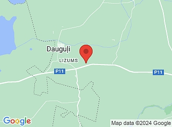  "Saulrieti", Dauguļi-4, Dikļu pagasts, Valmieras nov. LV-4223,  Dauguļu feldšeru un vecmāšu punkts