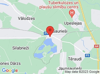  Saurieši, Saules 4, Stopiņu pagasts, Ropažu nov., LV-2118,  D.D. Global, SIA