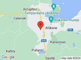  Krišjāņa Barona 17, Alūksne, Alūksnes nov., LV-4301,  DEES, SIA