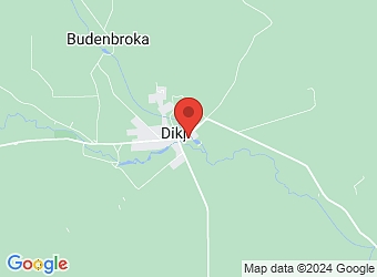  "Dikļu pils", Dikļi, Dikļu pagasts, Valmieras nov., LV-4223,  Dikļu pils, AS