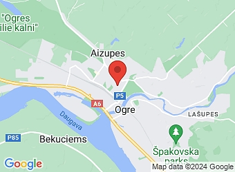  Brīvības 23, Ogre, Ogres nov., LV-5001,  Divi gani, SIA