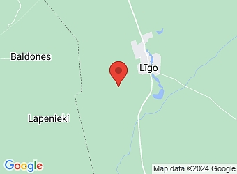  "Druvas", Līgo pagasts, Gulbenes nov., LV-4421,  Druvas, ZS