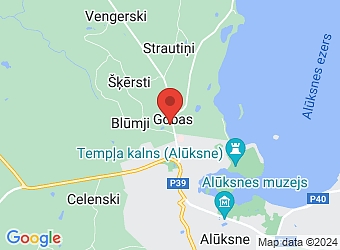  "Gobas", Ziemera pagasts, Alūksnes nov., LV-4301,  Druviņas, ZS