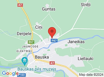  Torņa 15, Bauska, Bauskas nov., LV-3901,  Dzenīši, ZS