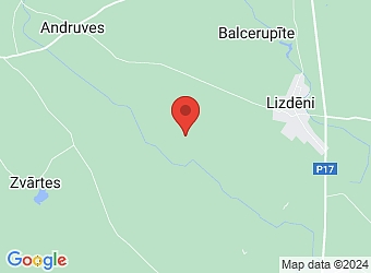  "Vecpīķi", Rencēnu pagasts, Valmieras nov. LV-4232,  Dzilnas, ZS