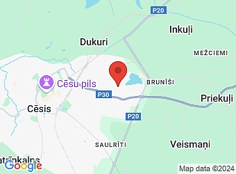  Palmu 4, Cēsis, Cēsu nov. LV-4101,  Egida Gross, SIA