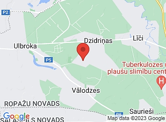  Dzidriņas, Cepļa 14, Stopiņu pagasts, Ropažu nov., LV-2130,  Elfum, SIA