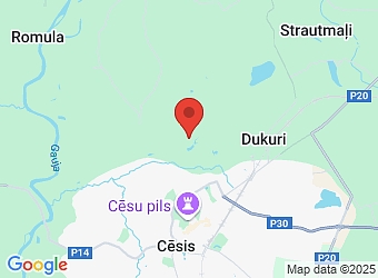  Ķingas, Priekuļu pagasts, Cēsu nov., LV-4126,  ELRETO, SIA