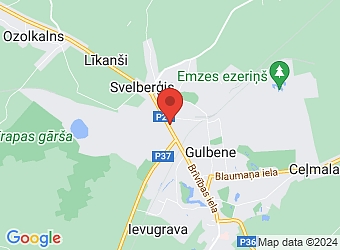  Brīvības 78A, Gulbene, Gulbenes nov., LV-4401,  Emzes, SIA