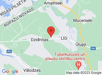  "Zaķīši", Līči, Stopiņu pagasts, Ropažu nov. LV-2118,  Energoupe, SIA