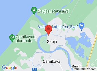  Lauku 17, Gauja, Carnikavas pagasts, Ādažu nov., LV-2163,  Freed, SIA