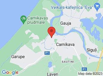  Carnikava, Zvejnieku 28, Carnikavas pagasts, Ādažu nov., LV-2163,  Gaujas nēģi, SIA