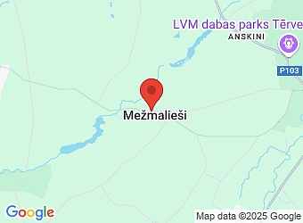  "Vālodzītes" - 4, Tērvetes pagasts, Dobeles nov., LV-3730,  GG apdare, SIA
