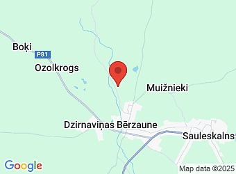  Bērzaunes pagasts, Madonas nov. LV-4853,  GOLDEN GROVE, SIA