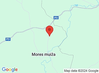  "Birzītes" - 1, Mores pagasts, Siguldas nov., LV-2170,  GREEN BEEF, SIA