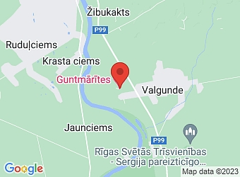  "Guntmārītes" , Valgundes pagasts, Jelgavas nov., LV-3017,  Guntmārītes, SIA