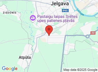  Platones 119, Jelgava LV-3008,  International Virotherapy Association