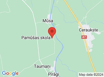  "Lielčikstes", Gailīšu pagasts, Bauskas nov., LV-3931,  Jāņa Salena sīpolpuķu audzētava