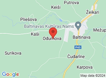  "Jaunā Odumova", Odumova, Baltinavas pagasts, Balvu nov., LV-4594,  Jaunā Odumova, ZS