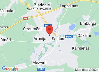  Raiņa 2B, Saldus, Saldus nov. LV-3801,  Junita un Co, SIA