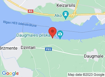  "Deviņi", Dzintari, Daugmales pagasts, Ķekavas nov., LV-2124,  Koka grīdu serviss, SIA