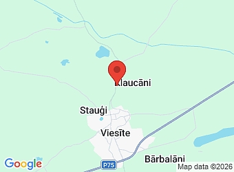  "Aumaņi", Viesītes pagasts, Jēkabpils nov., LV-5237,  KOKA SPĒKS, SIA