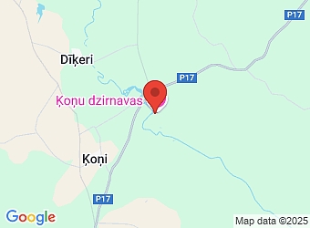  "Ķoņu dzirnavas", Ķoņu pagasts, Valmieras nov., LV-4247,  Ķoņu dzirnavu vilna, SIA