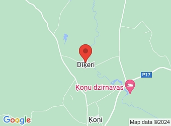  "Ausekļi", Ķoņu pagasts, Valmieras nov., LV-4247,  Ķoņu kalna dzīves skola, biedrība