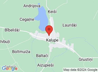  Kalupe, Ezeru 15, Kalupes pagasts, Augšdaugavas nov. LV-5450,  Krizantēmas, SIA