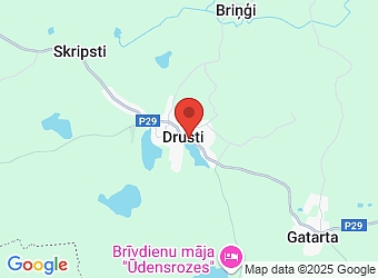  Palsas 15, Drusti, Drustu pagasts, Smiltenes nov., LV-4132,  LAIMIK, SIA