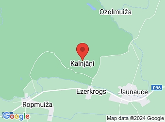  "Žiguļi", Jaunauces pagasts, Saldus nov., LV-3893,  Lauras, ZS
