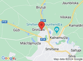  "Ausekļi", Grotūzis, Smiltenes pagasts, Smiltenes nov., LV-4729,  Lauvas nami, SIA