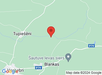  "Beņķi", Bebru pagasts, Aizkraukles nov., LV-5135,  Leķis, IK