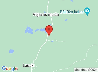  "Dreimaņi", Vestienas pagasts, Madonas nov., LV-4855,  LEPIŅI, SIA