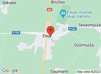  Eleja, Rūpniecības 21, Elejas pagasts, Jelgavas nov., LV-3023,  Lieldruvas, SIA