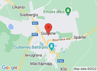  Rīgas 37-2.st., Gulbene, Gulbenes nov. LV-4401,  Liepiņas D. ārsta neirologa prakse
