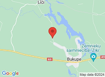  "Liepnieki", Zirņu pagasts, Saldus nov., LV-3801,  Liepnieki, ZS