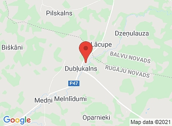  "Lejupe" , Rugāju pagasts, Balvu nov., LV-4570,  Line R, SIA