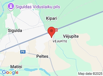  Institūta 10 - 65, Sigulda, Siguldas nov., LV-2150,  LP Investments, SIA